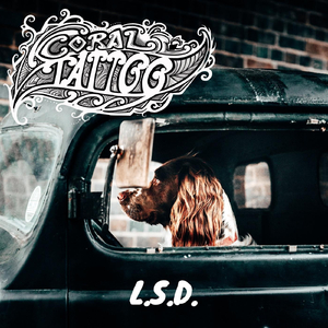 L.S.D. (Longa Sensação Diurna)