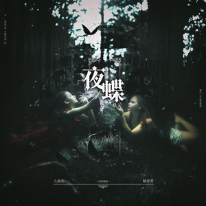夜蝶（Cover SNH48）