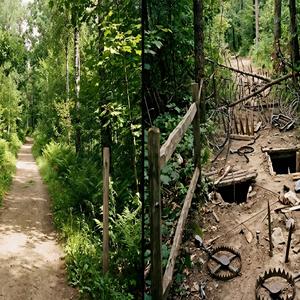 Estrellas y estrellados