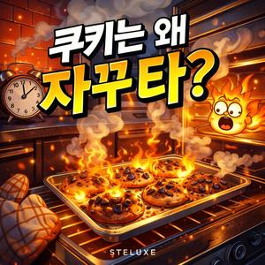 쿠키는 왜 자꾸 타? (Inst.)