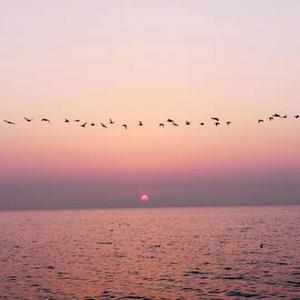 没有理由（demo）