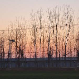 城市盖不住我心跳