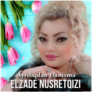 Ayriliqdan Danisma