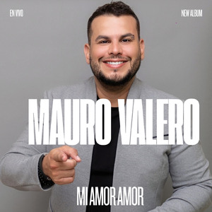 MI AMOR AMOR (En vivo)