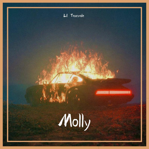 Molly (Prod. Wolly)