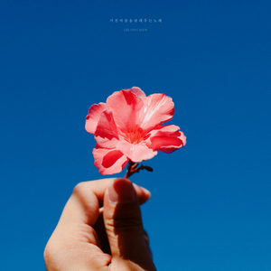 별이 빛나던 밤에