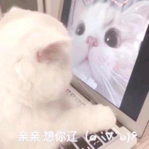 万有引力（初恋版）