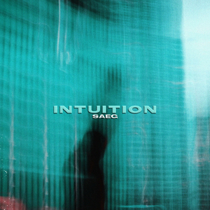 Intuition