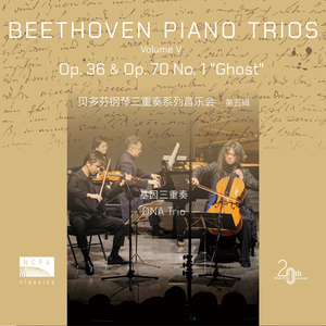 D大调钢琴三重奏 “幽灵” Op. 70 No. 1：第一乐章・非常热情的快板 (Piano Trio in D Major, Op. 70 No. 1 “Ghost”:Ⅰ. Allegro vivace e con brio)
