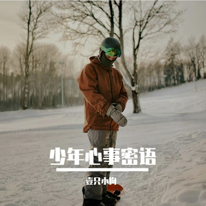 少年心事密语