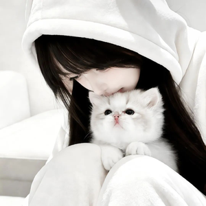 山茶花读不懂白玫瑰