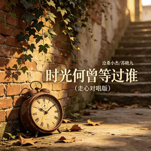 时光何曾等过谁（走心对唱版）
