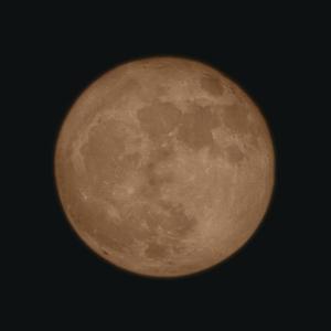 请你在夜晚瞄准我