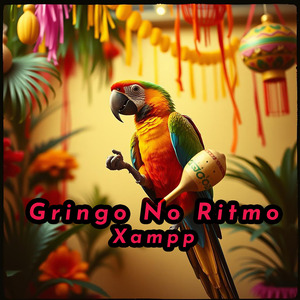 Gringo No Ritmo