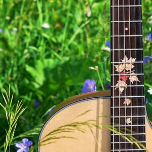 无论你多怪异我永远会喜欢你