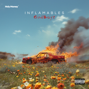 Inflamables
