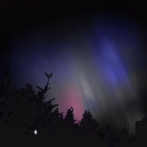 唉 （ft CoapCryse）