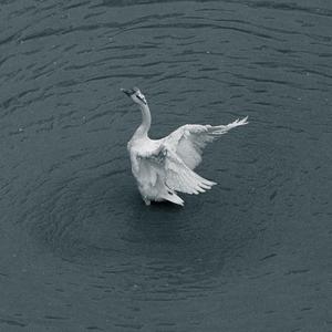 困于池沼(Prod by Lakewavebeatz x dreamr）