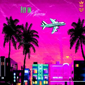 Fly in Miami (feat. Bvbyv)