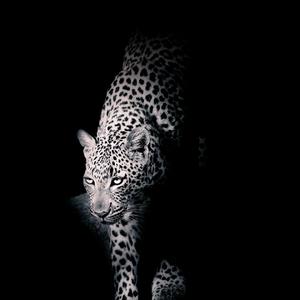 Sister Syd-Linkin -（早就听腻了 remix）