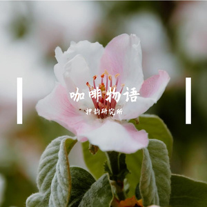 咖啡物语
