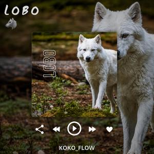 LOBO