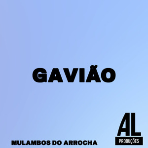 Gavião
