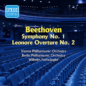 Symphony No. 1 in C Major, Op. 21:IV. Allegro molto e vivace