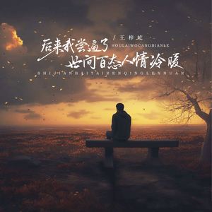 后来我尝遍了世间百态 人情冷暖 (伴奏)