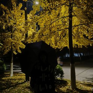 从前有个魔仙堡