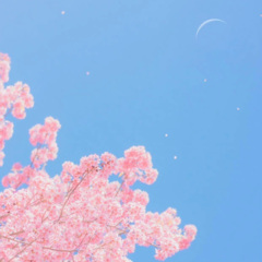 写给胖小子 (Keep going on)