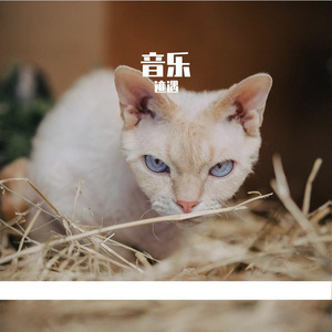 这座城市终于飘雪