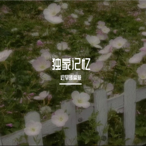独家记忆 伴奏