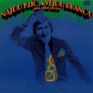 Hnědej kůň, hříva bílá