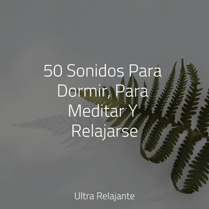 Meditación Sin Consolidar