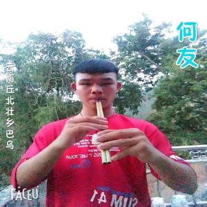 云南省丘北县官寨乡壮族巴乌-何友