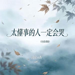 太懂事的人一定会哭(DJ沧桑版)