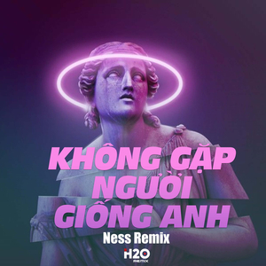 Không Gặp Người Giống Anh (Ness Remix)