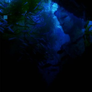 The Enchanted Kelp Forest