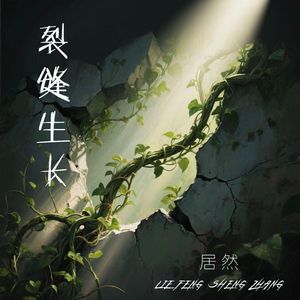 裂缝生长