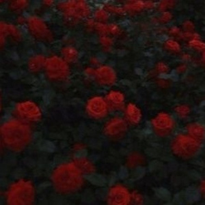 in circles (prod. skel)