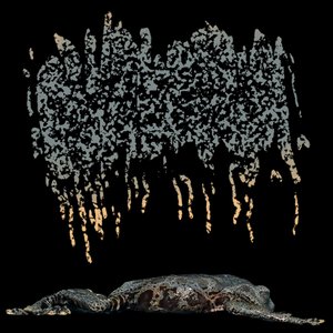 The Peculiar Case of the Vacant Finger in Swollen Expanse Interrupting Superior Papillae with Present Barring and Shieldlike Flap, Shagreened Is the Dorsal Sector Terrified to Launch Myself Hastily to the Tears of Terrane