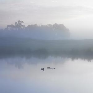 往后余生 男声mix