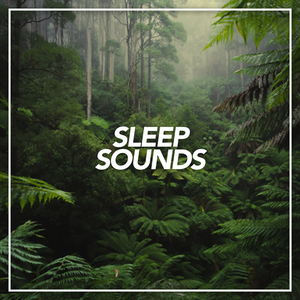 Rain Sounds For Relaxing Sleeping (Original Mix)