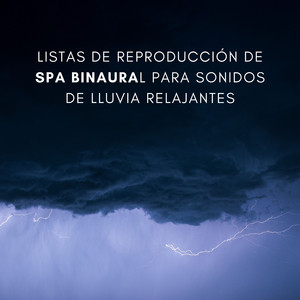 Goteo Sereno De La Lluvia