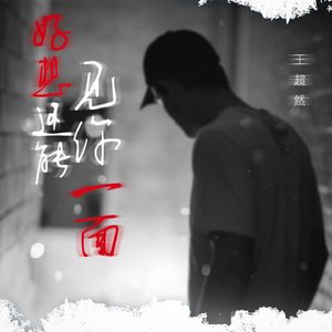 好想还能见你一面 (DJLive合唱版）