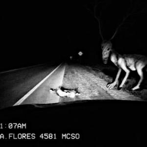 心碎男孩加油站