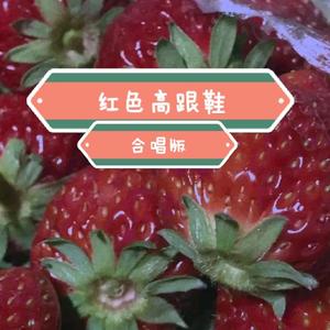 红色高跟鞋（超好听合唱版）