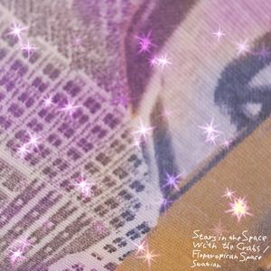 Stars in the Space with the Crabs