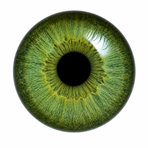 Green Eyes